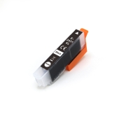 Združljiv nadomestek za Združljiv z Epson C13T24314012 / 13ml Črnilo Črna (Črnilne kartuše)